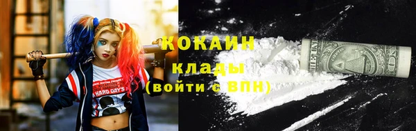 дурь Осташков