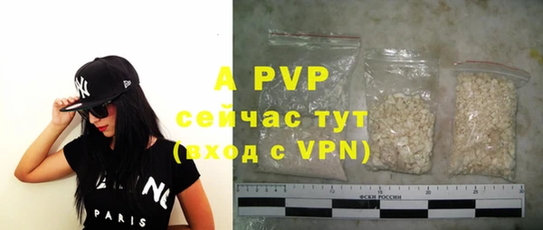 дурь Осташков