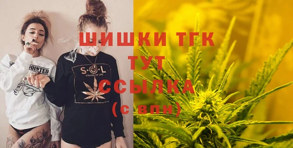 дурь Осташков