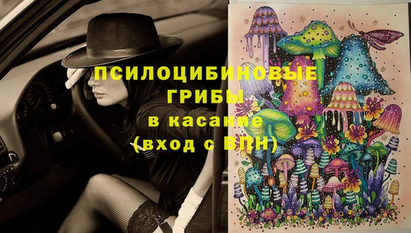 дурь Осташков