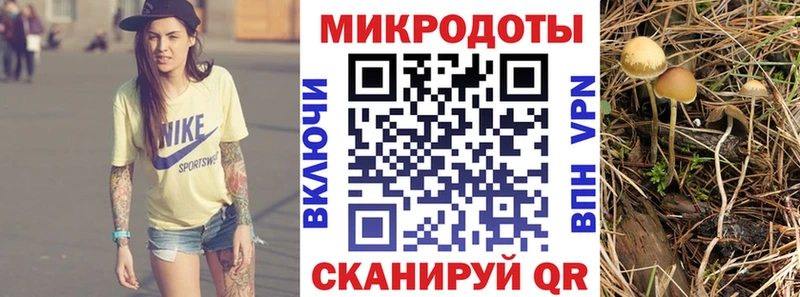 купить закладку  MEGA   Псилоцибиновые грибы ЛСД  Прокопьевск 