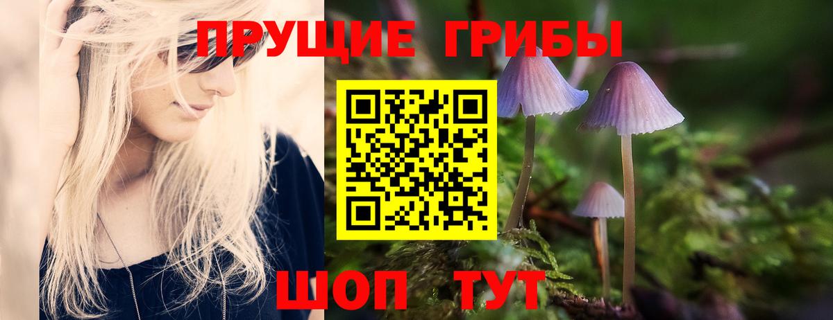 где продают наркотики  Вход с VPN  Прокопьевск  Галлюциногенные грибы Psilocybe  Псилоцибиновые грибы MAGIC MUSHROOMS 